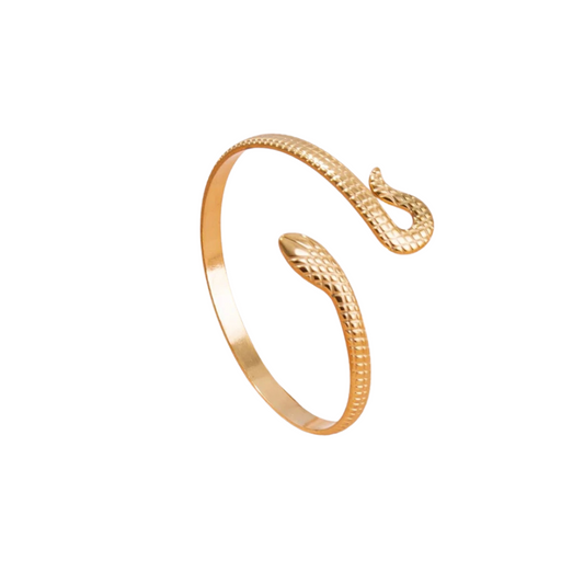 Bracelet Serpent
